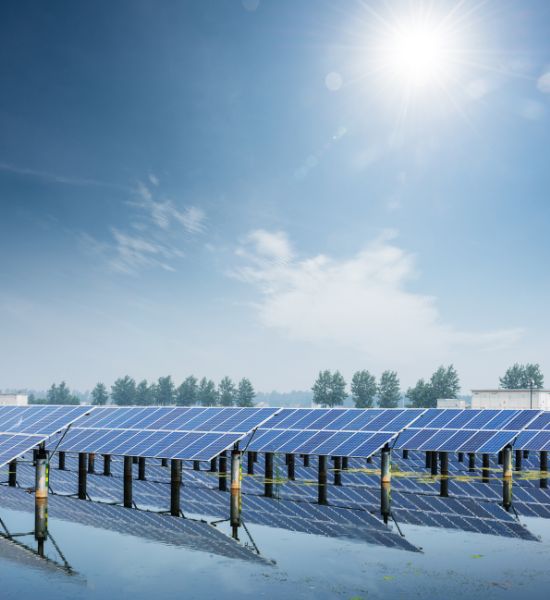 Solar Panel Cleaning